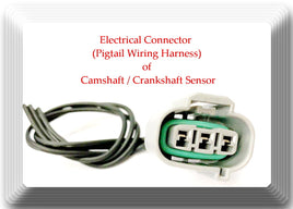 Connector of Crankshaft Position Sensor PC198 Fits:Passport SLX Rodeo Trooper