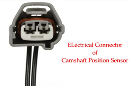 OE Spec Connector of Camshaft Postion Sensor PC407 Fits: Xa Xb Echo Prius Yaris