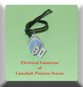 Connector of Camshaft Position Sensor PC31 Fits: Cadillac Oldsmobile 1992-1999