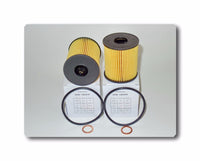 Engine Oil Filter CH10066 Fits: Mini Cooper  Cooper Countryman  Cooper Paceman