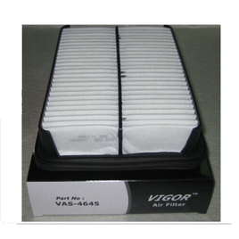 SA4645 CA6690 17801-35020 Engine Air Filter Fits: Isuzu Mazda Toyota
