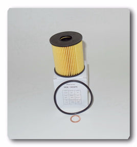 Engine Oil Filter CH10066 Fits: Mini Cooper  Cooper Countryman  Cooper Paceman