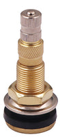 100 PCS TR618A 1-7/8" AGRICULTURAL AIR-LIQUID CLAMP-IN VALVES STEMS