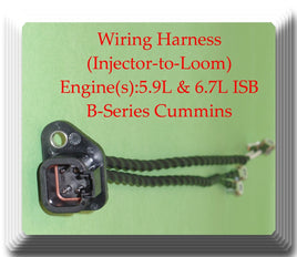 3287699 Wiring Harness Injector to Loom Fits:Cummins 5.9L & 6.7L ISB B-Series