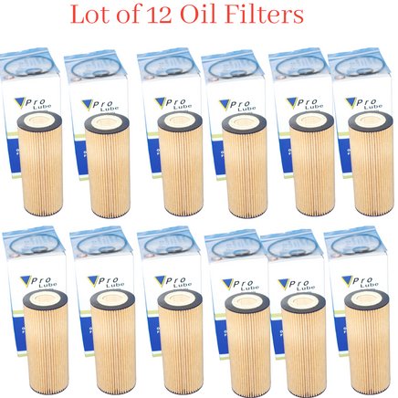 12 x Oil Filter Fits BMW Diesel  335d 2009-2011 , X5 2009-2013