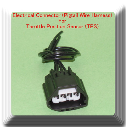 Electrical Connector of Throttle Position Sensor TH381 Fits:Ford Lincoln Mercury