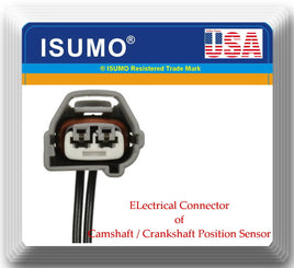 Connector of Camshaft Crankshaft Position Sensor Fits: Lexus Toyota Scion Volvo