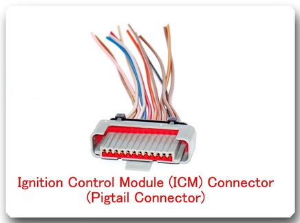 12 Wires Ignition Control Module Pigtail Connector  Fits: Ford Lincoln Mercury