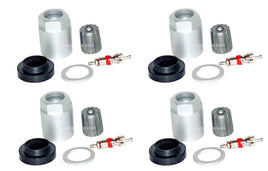 1 Kit 20023 TPMS Sensor Service Kit Fits:  Audi Bentley BMW Bugatti Ferrari Mini