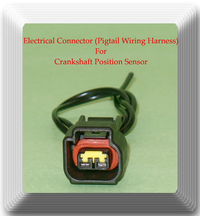 Connector of Crankshaft Position Sensor PC483 Fits:E-150 250 350 F-150 250 350 