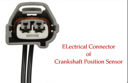 Crankshaft Position Sensor W/Connector Fits: ES300 ES330 RX300 RX330 RX400h 