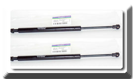 Set of 2 Rear Trunk Lid Lift Support Fits: BMW E90 325I 328I 330I 335I M3