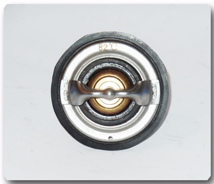 97241129 Thermostat Fits: Chevrolet & GMC V8 6.6L