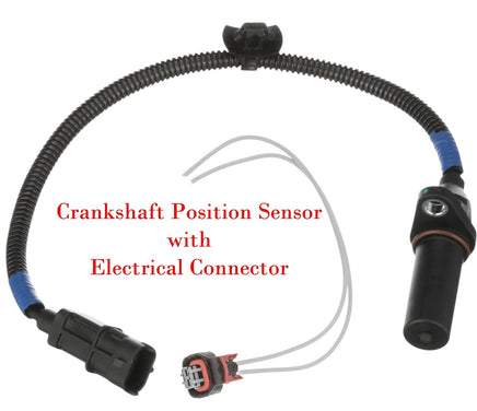 Crankshaft Position Sensor With Electrical Connector Fits Hyundai Kia 2013-2022