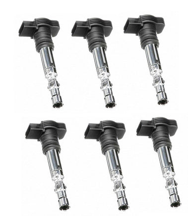 SET OF 6 Ignition coil for Audi A4 A6 Quattro 3.0L V6 UF483 C1471 5C1470