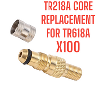 100 PCS TR218A . CH3 REPLACEMENT FOR TR618A CORE STEM AGRICULTURAL AIR-LIQUID