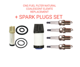 2 Pcs CNG Fuel Filters Natural Gas Element Set Fits Civic GX 4 Door+spark plugs