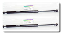 Set of 2 Rear Trunk Lid Lift Support Fits: BMW E90 325I 328I 330I 335I M3