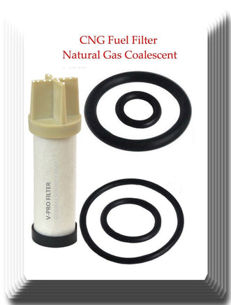2 Pcs CNG Fuel Filter Natural Gas Element & Element Set Fits Civic GX 4 Door  