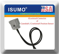 Connector of Camshaft Crankshaft Position Sensor Fits: Lexus Toyota Scion Volvo